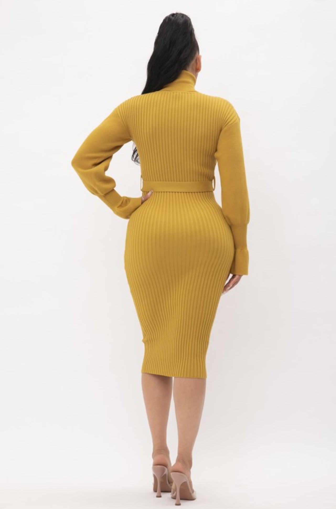 Turtle Neck Ribbed Balloon Sleeve Dress