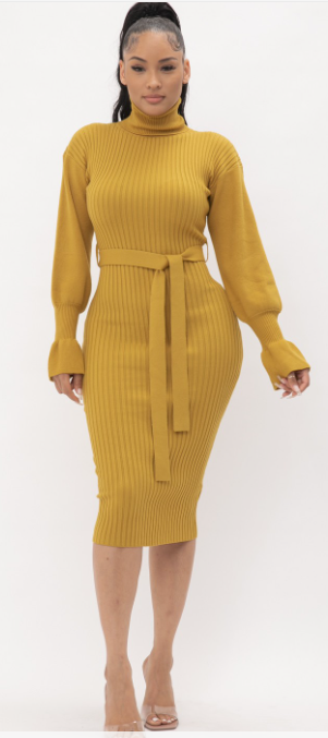 Turtle Neck Ribbed Balloon Sleeve Dress