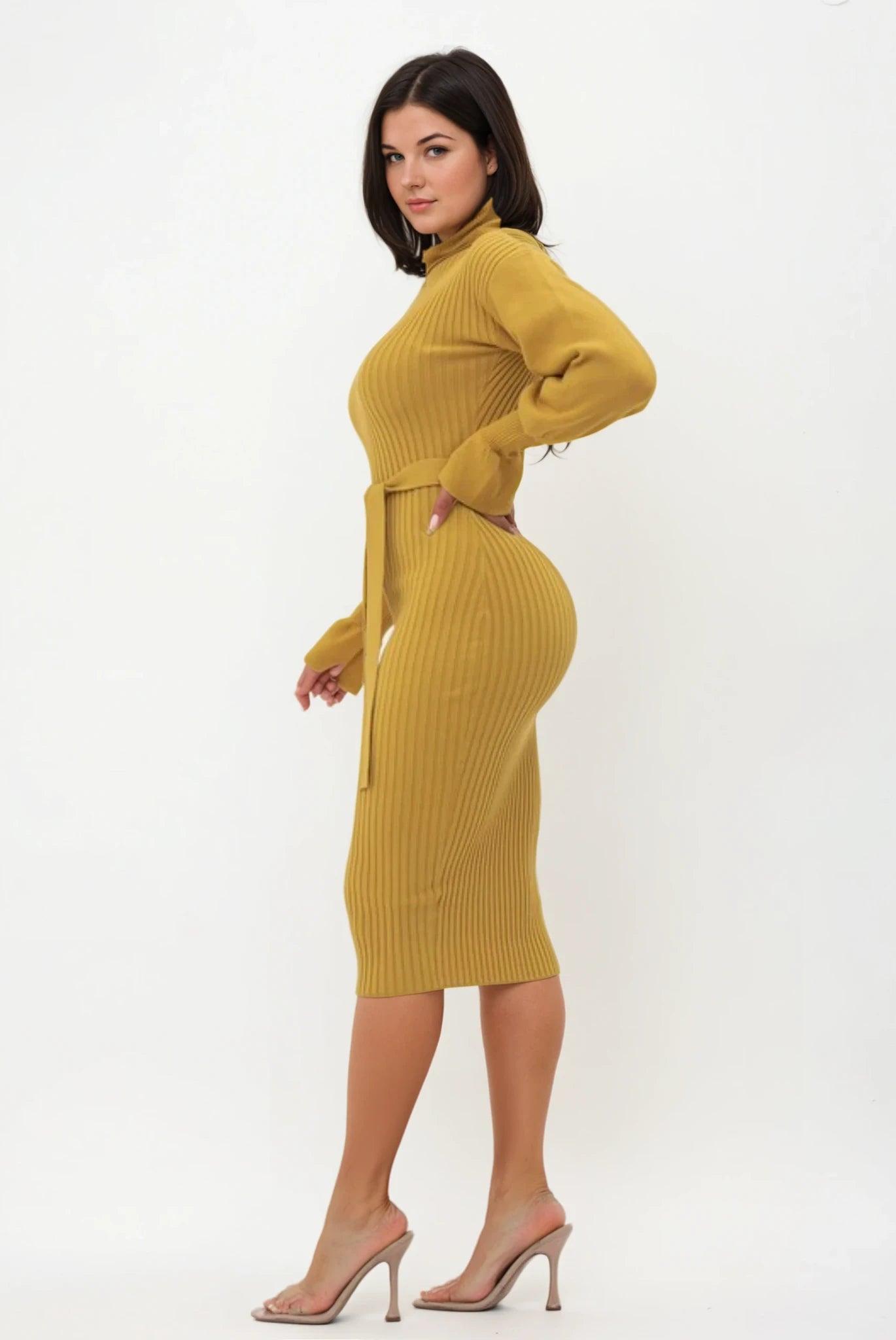 Turtle Neck Ribbed Balloon Sleeve Dress