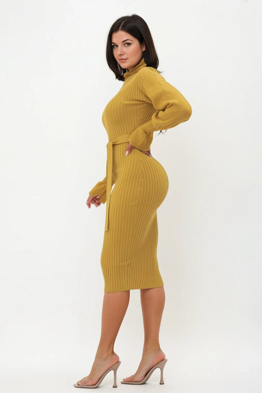 Turtle Neck Ribbed Balloon Sleeve Dress